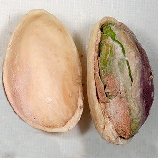 Pistacia vera (Pistachio Nut)