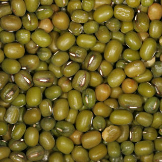 Vigna radiata (mung beans)