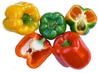 Capsicum annuum - sweet peppers