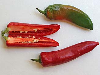 Capsicum annuum - chilli peppers