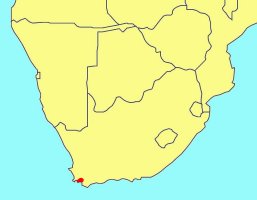 Distribution_of_Austrophasma_caledonensis