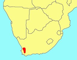 Distribution_map_of_Lobophasma_redelinghuysensis
