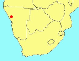 Distribution_of_Tyrannophasma_gladiator