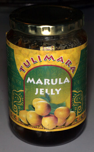 Sclerocarya birrea (Marula)