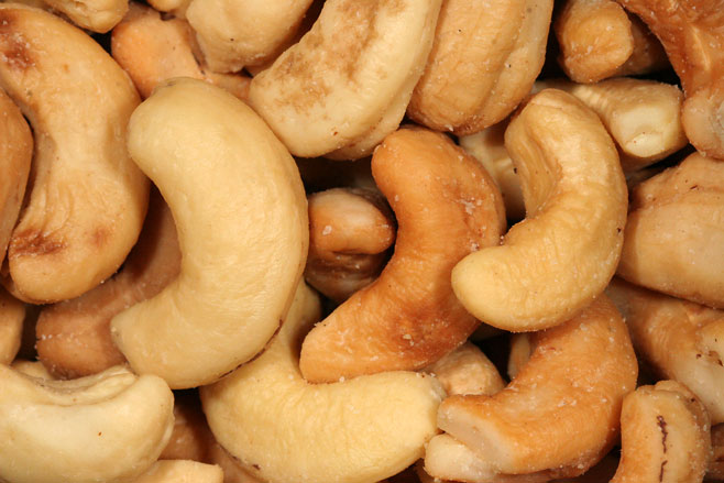 Anacardium occidentale (Cashew)