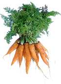 carrots