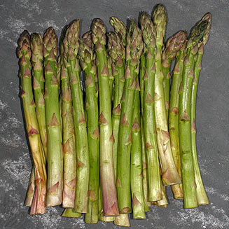 Asparagus officinalis (Asparagus)