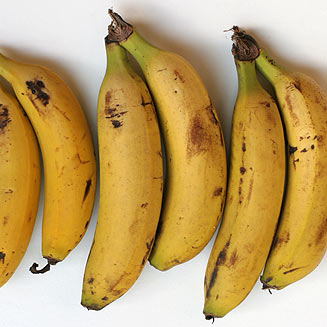 Musa acuminata (Banana)