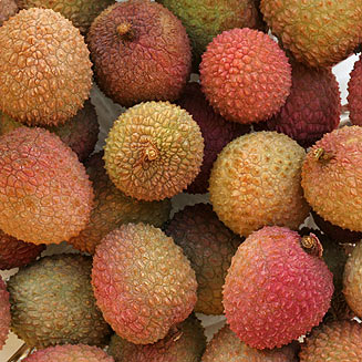Litchi chinensis (Litchi, Lychee)