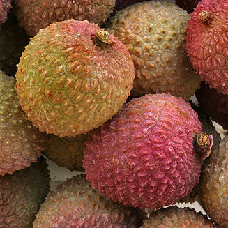 Litchi chinensis (Litchi, Lychee)