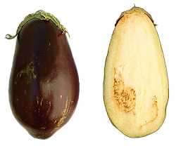 aubergine, eggplant, brinjal